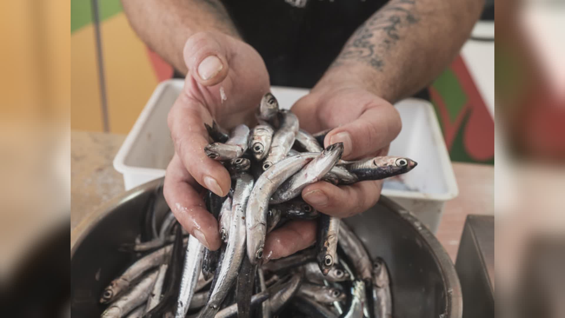 Slow Fish, chiusura con il botto di visitatori al Porto Antico di Genova