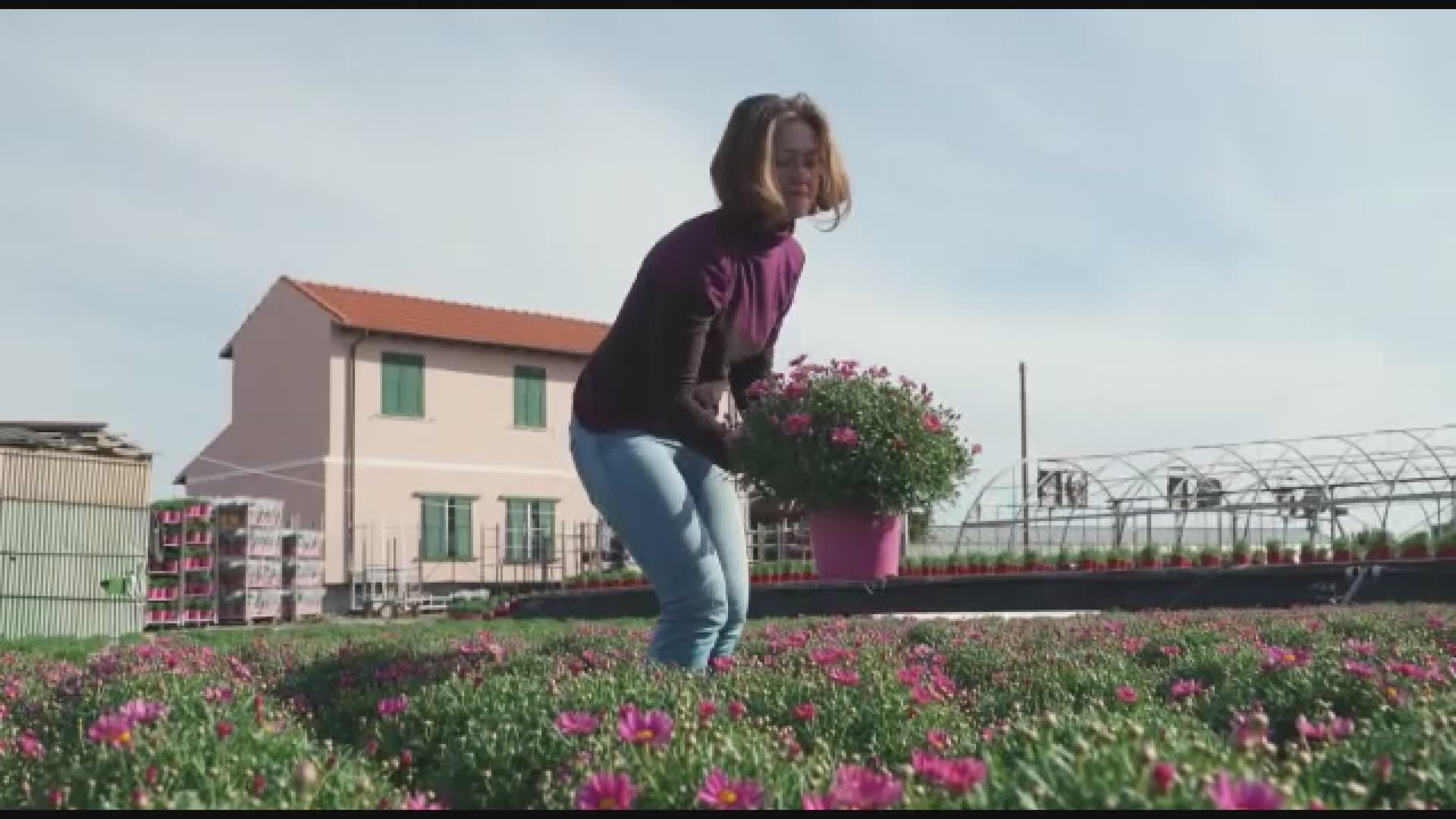 Il florovivaismo si promuove con “Colori e profumi di Liguria”