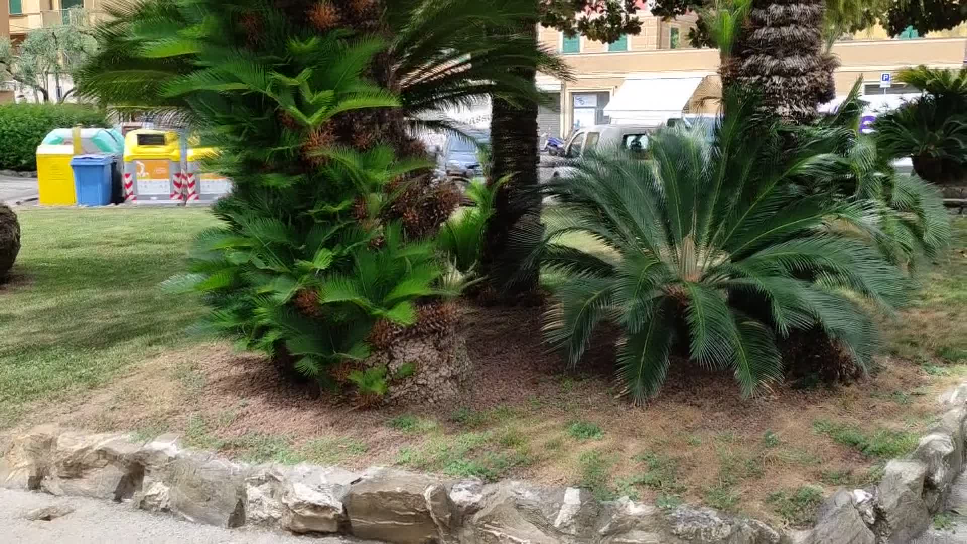 Rapallo, parte 'CittàGiardino': assunto fino al 2026 operatore per la gestione del verde di piazza delle Nazioni