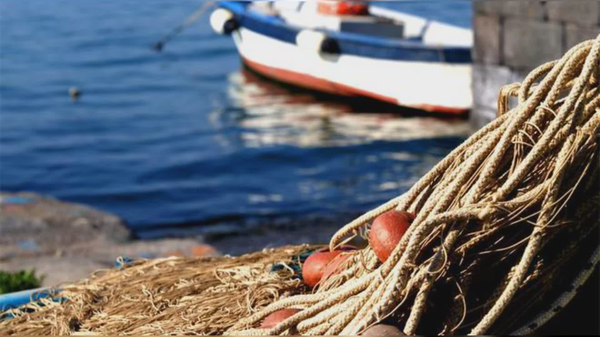 Sindacati pescatori contro limiti Ue per pesca a strascico