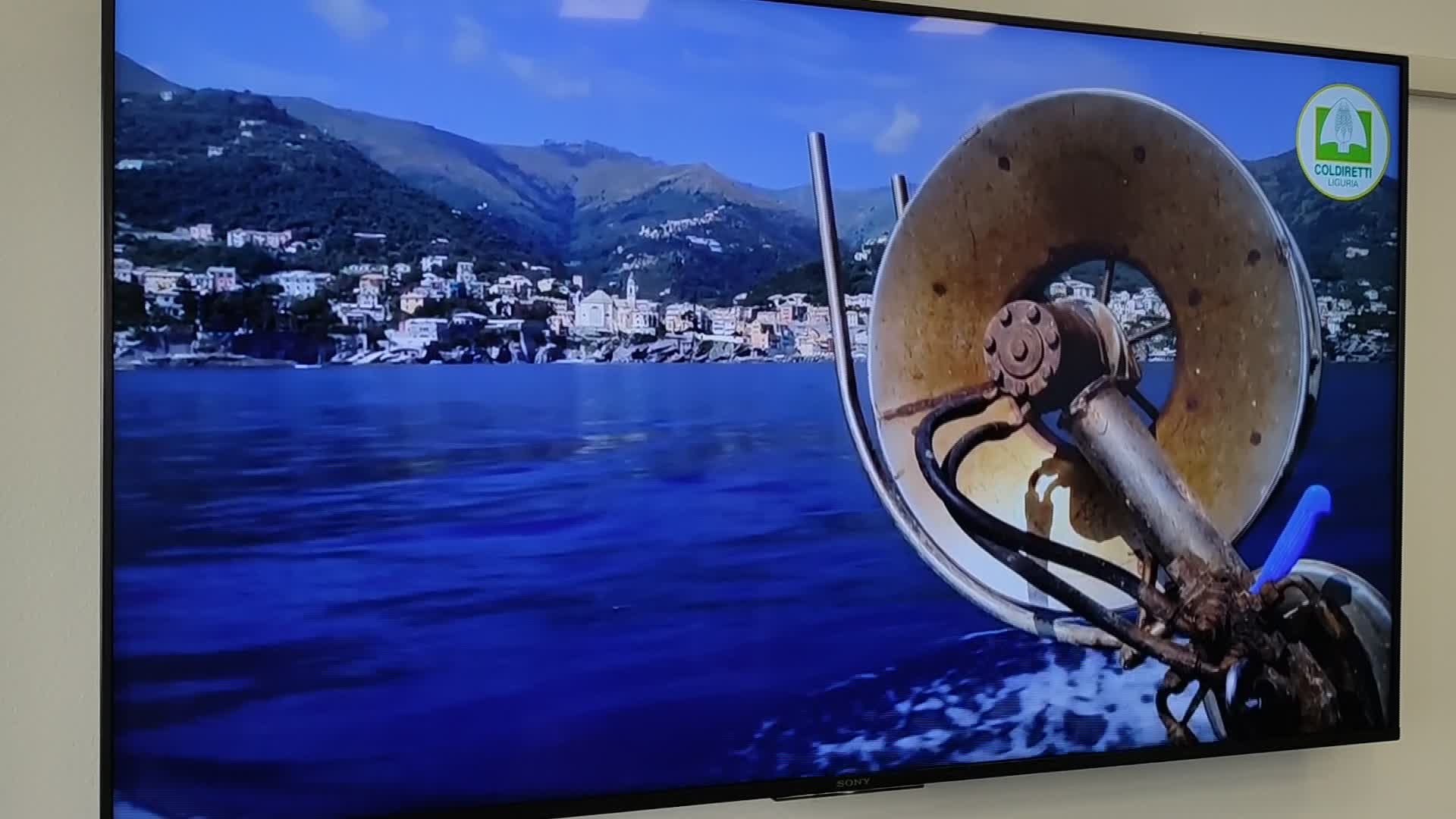 Liguria, parte il corso di formazione per trovare nuovi pescatori