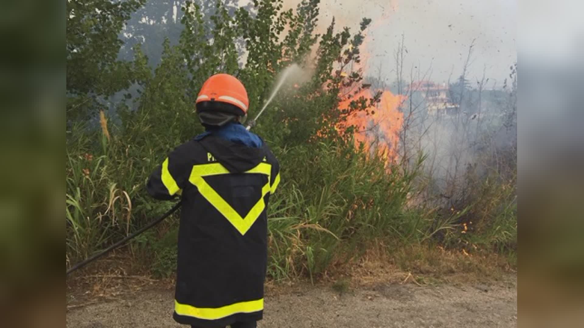 Sanremo, incendio in zona boschiva a Bussana: fiamme vicino alle case