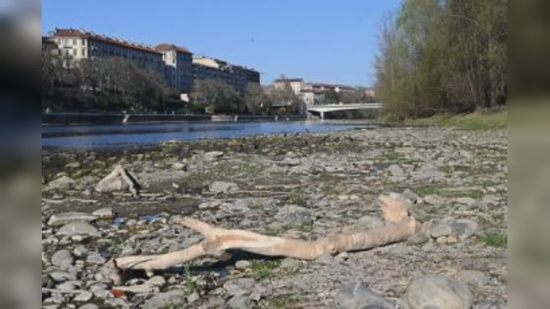 Liguria: 1,8 milioni per manutenzione e pulizia corsi d'acqua