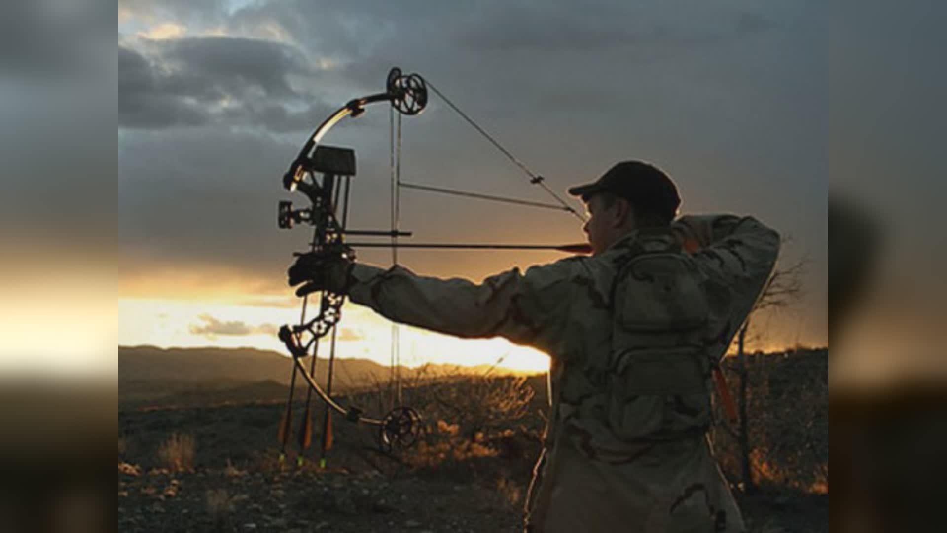Liguria, caccia con arco e frecce: insorgono ambientalisti e cittadini. Pioggia di mail di protesta contro la Regione