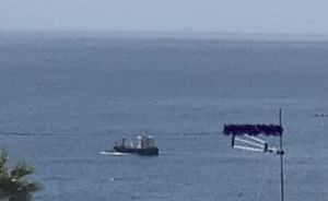 Capodoglio spiaggiato a Varazze, il sindaco Pierfederici: “In corso rimozione della carcassa. Entro sera revoca ordinanza divieto di balneazione”