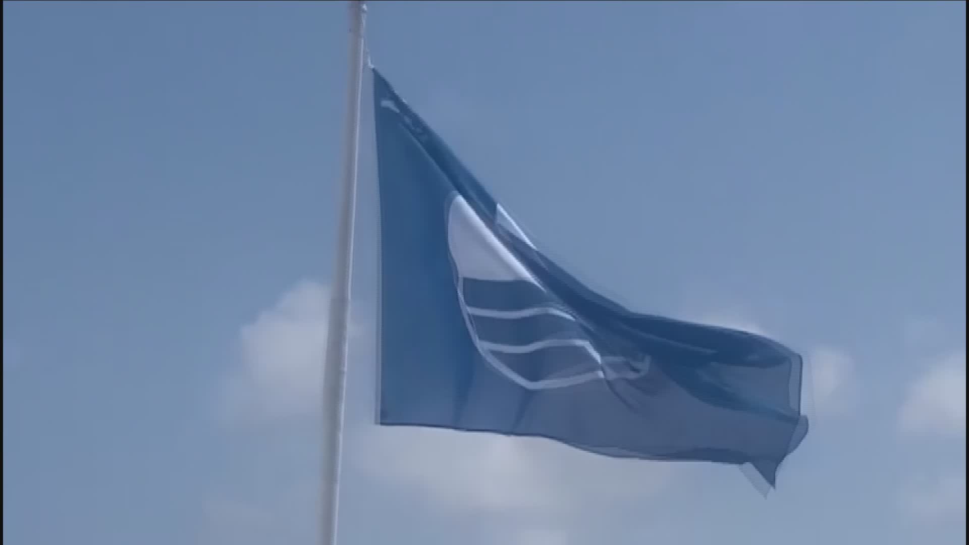 Varazze, balneazione regolare dopo la rimozione della carcassa del capodoglio