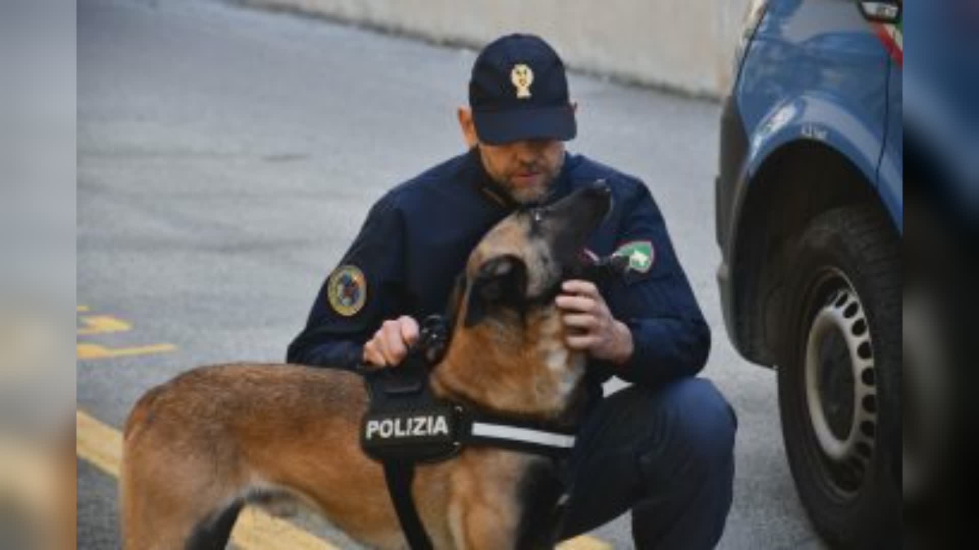 San Rocco di Camogli: festa del cane, premiati quattro pastori belgi da salvataggio