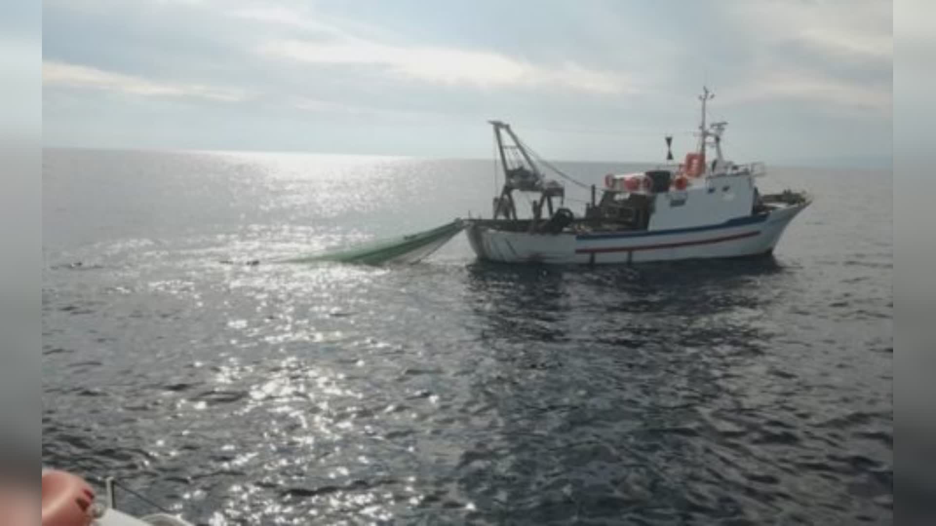 Riva Trigoso: pescatori litigano in mare per reti abusive, la Capitaneria le sequestra