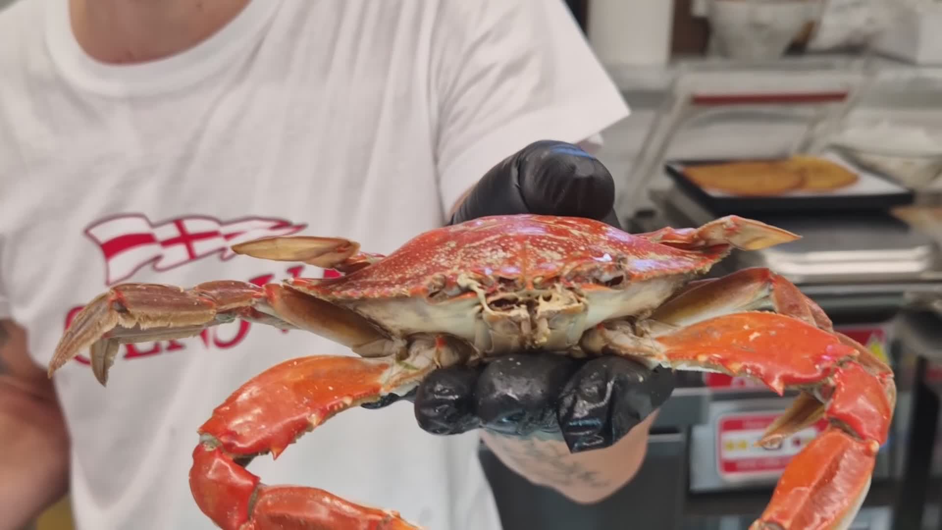 Genova, il granchio blu tra le proposte culinarie di un locale a Caricamento. Il proprietario: "Tre modi per cucinarlo"