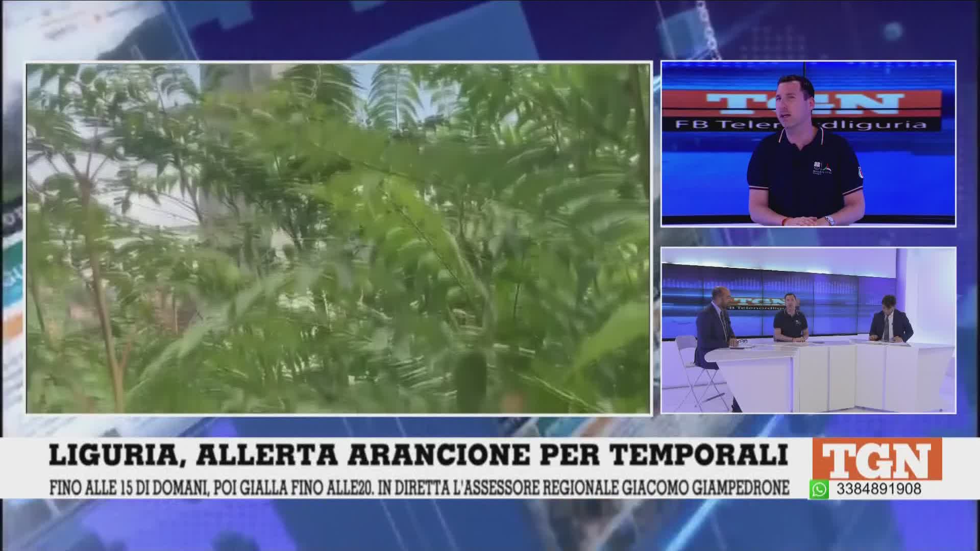 Genova, l'assessore Giampedrone: "Ripulire i greti dei torrenti dalla vegetazione? Serve intervento parlamentare"