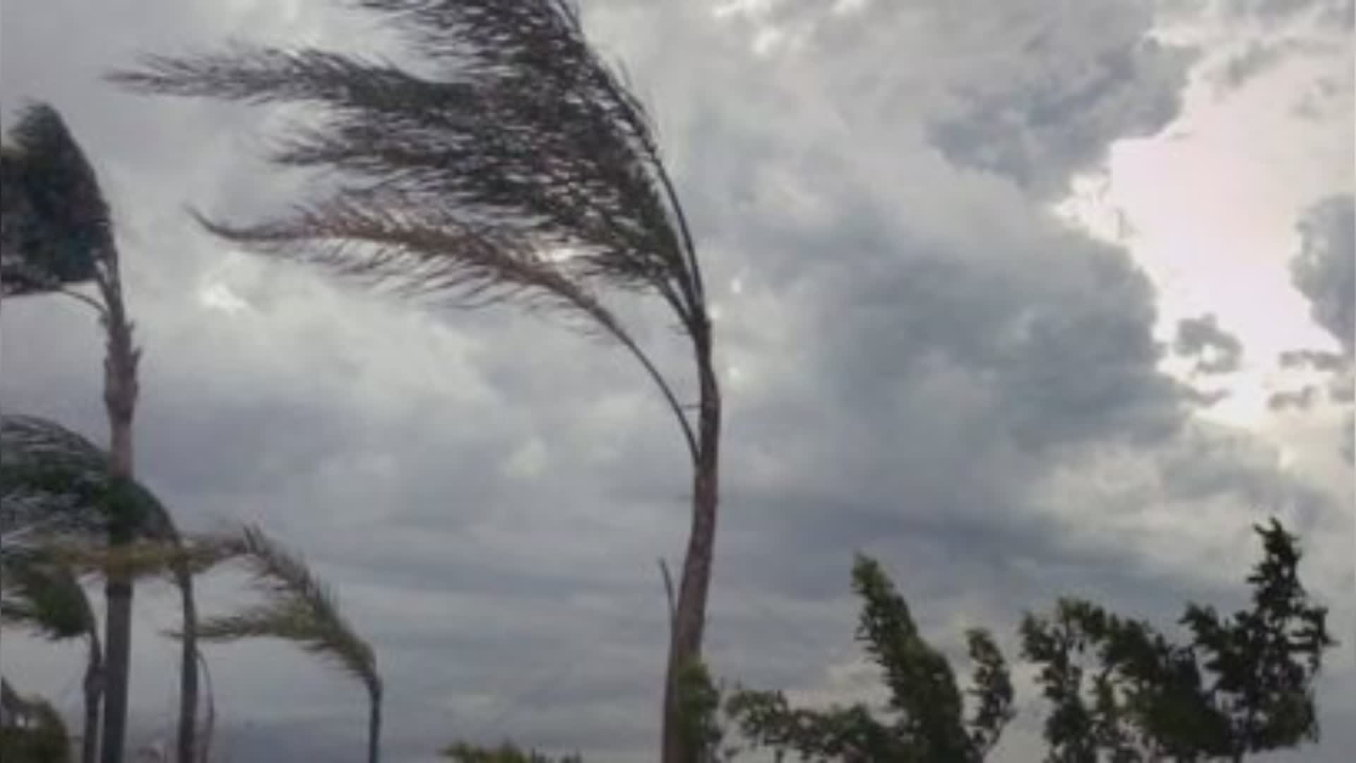 Liguria, dopo la pioggia ecco il vento: raffiche a oltre 90 km orari ad Arenzano