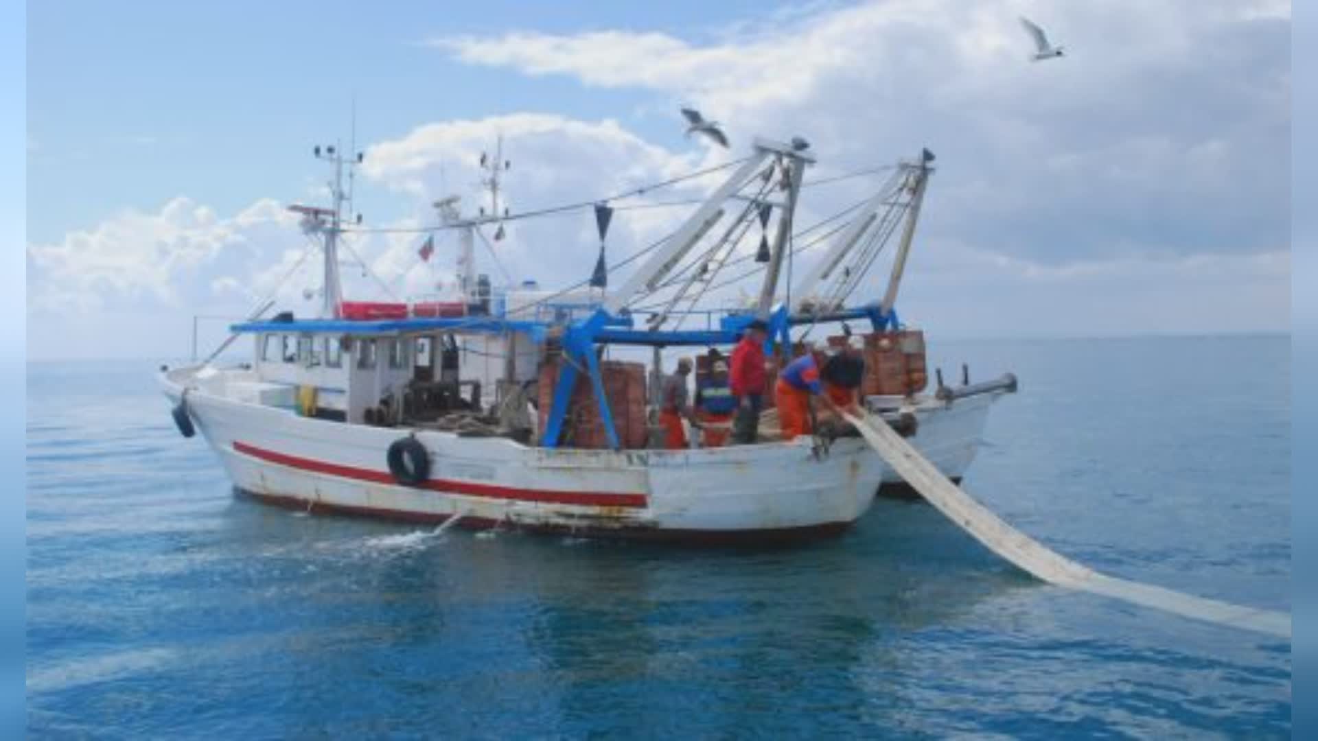 Liguria e Puglia: accordo per rilancio congiunto pesca e turismo ittico