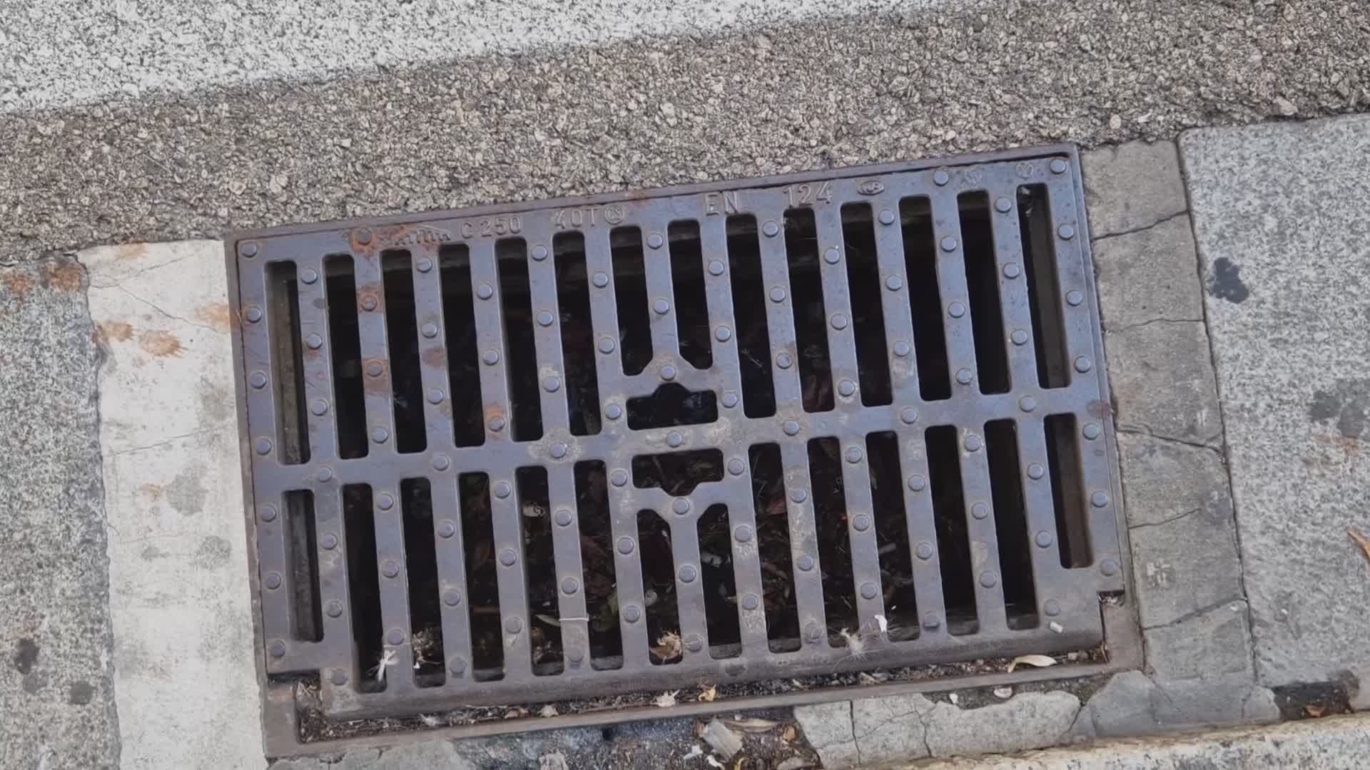 Genova, l'assessore comunale Avvenente: "Pulizia caditoie almeno una volta l'anno"