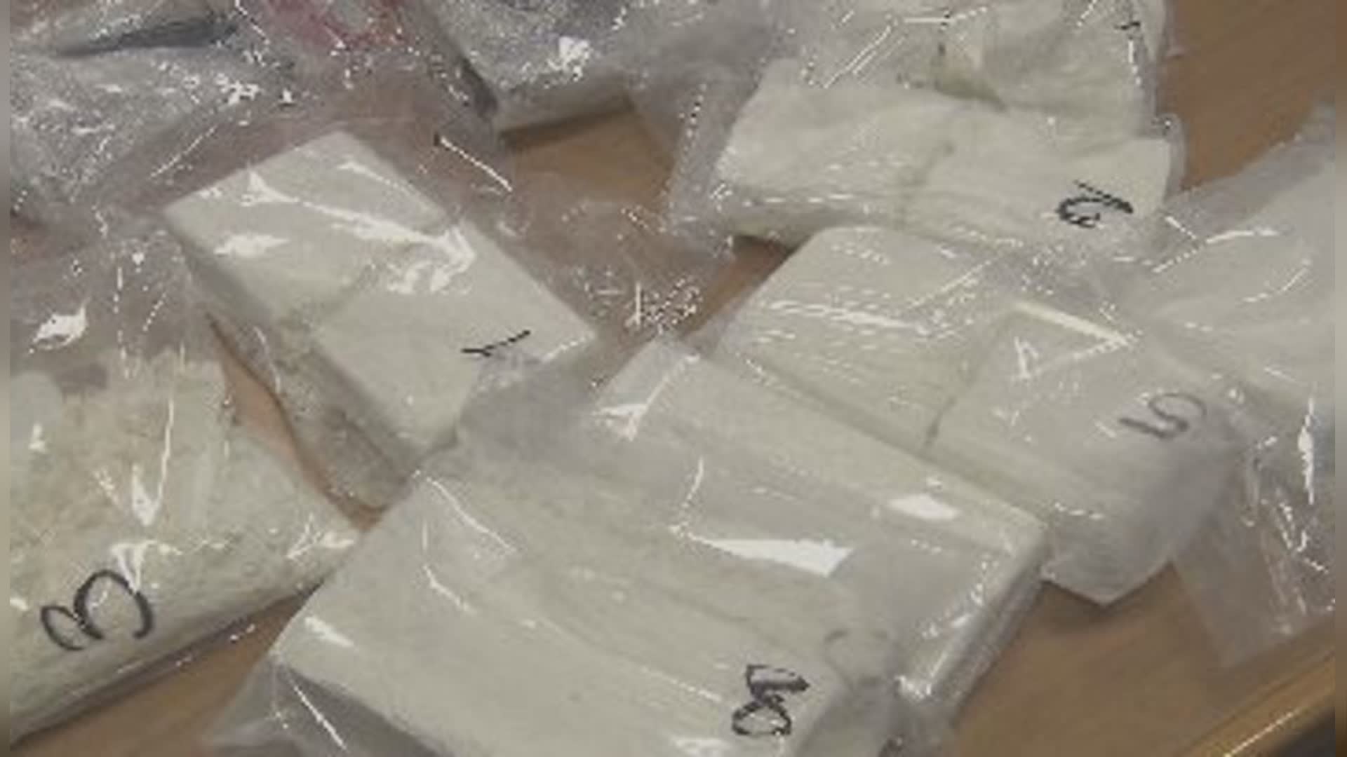 Genova: smantellata banda di narcos che importava cocaina dal Sudamerica