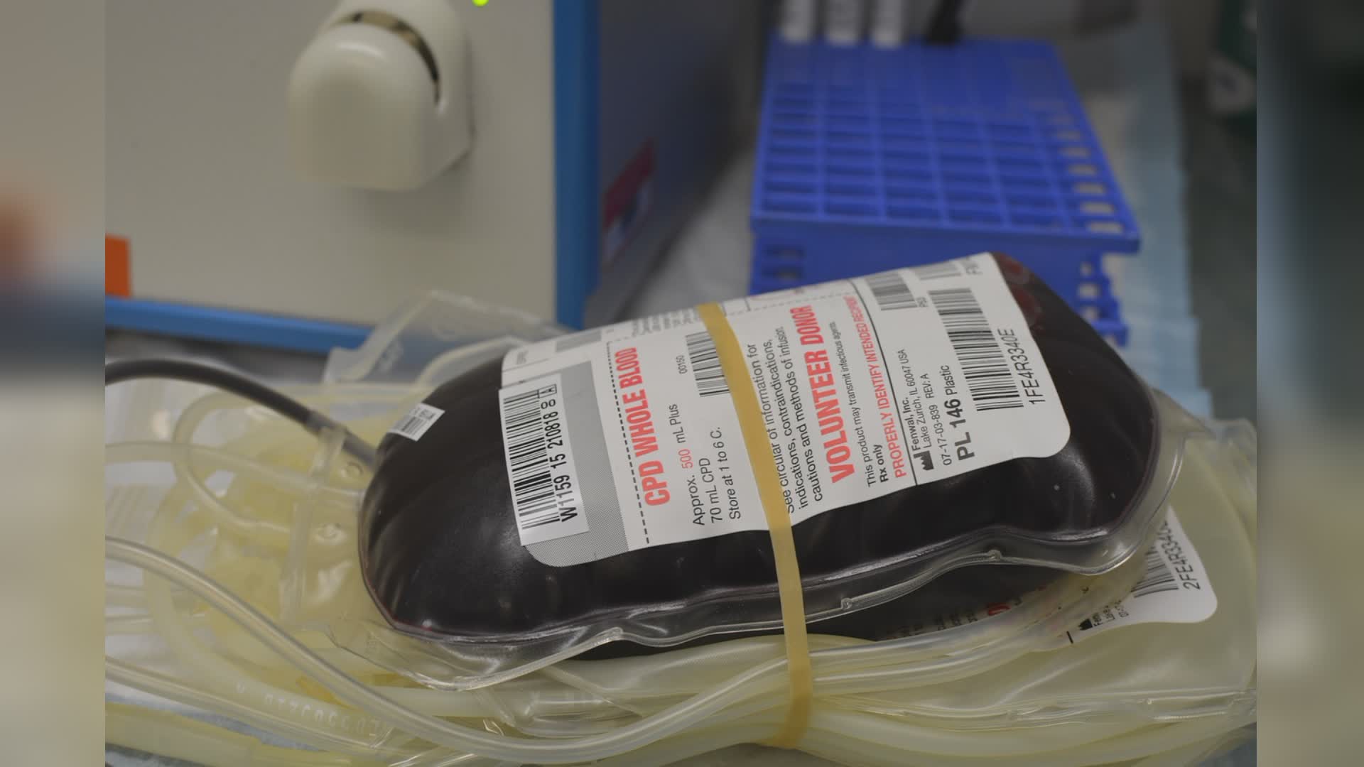 Regione Liguria, l'assessore Gratarola: "Le campagne di sensibilizzione alla donazione del sangue funzionano: 400 sacche in più nel periodo estivo"