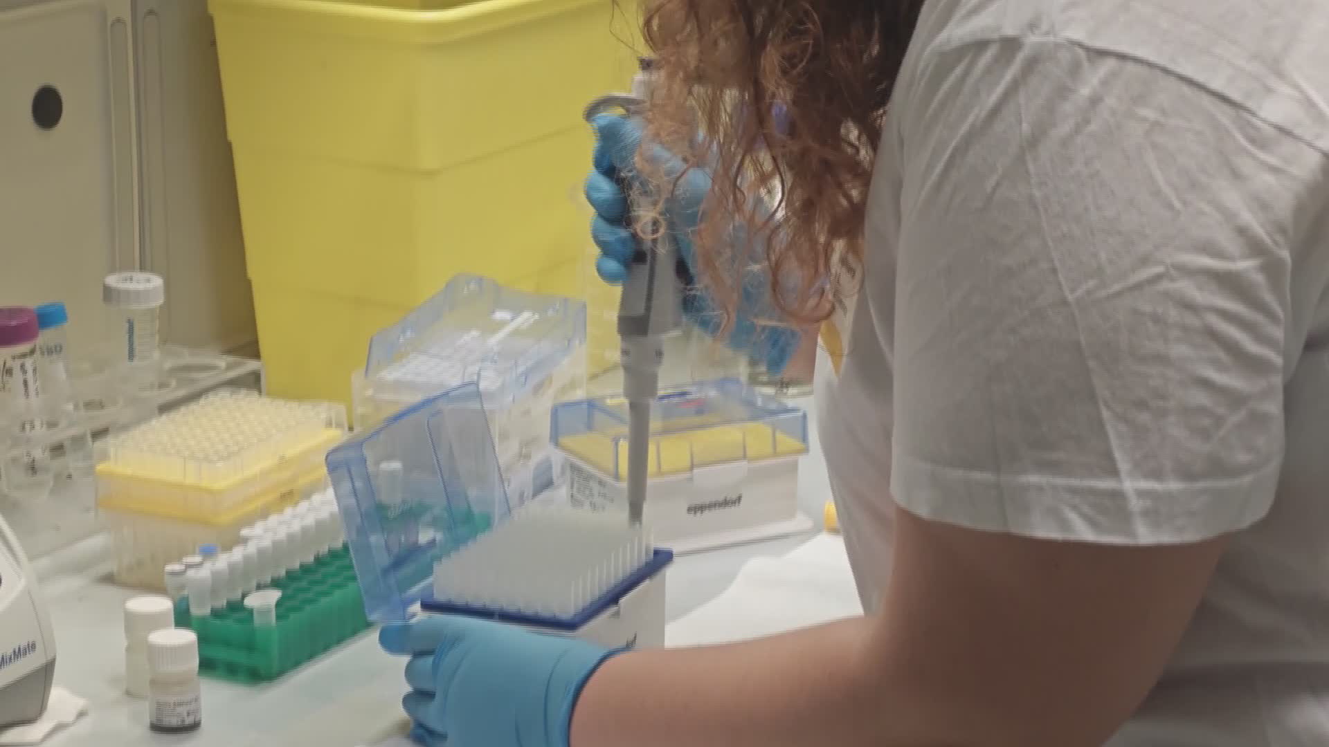 Genova: donatori midollo osseo in aumento del 5% rispetto al 2022