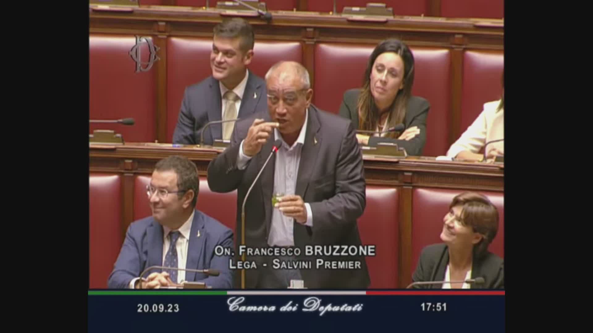 Pesto alla Camera: lo porta Bruzzone (Lega) per sbeffeggiare l'ex "sardina" Santori