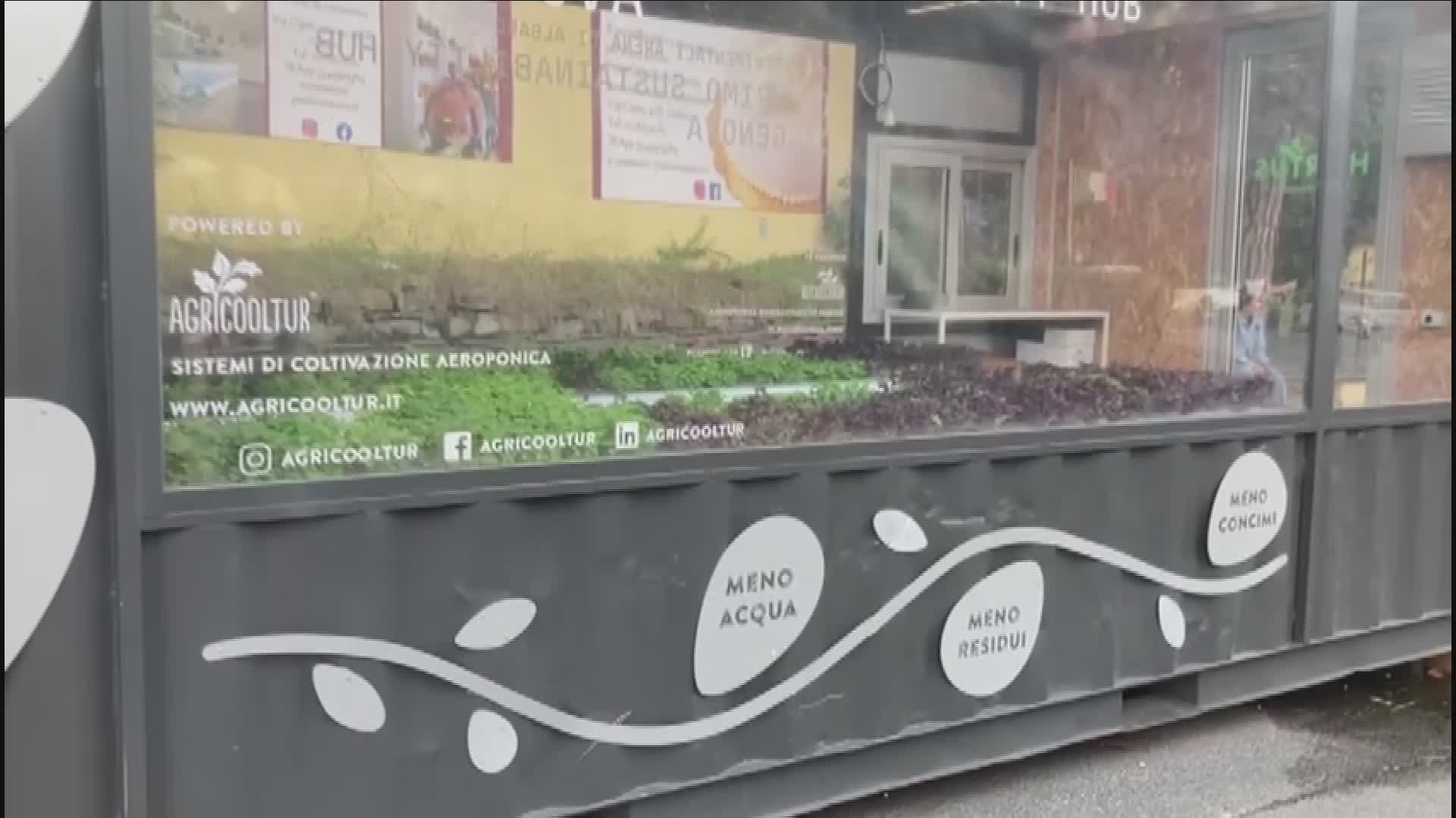 Genova, prendersi cura del verde: ecco gli orti sperimentali all'Arena di Albaro