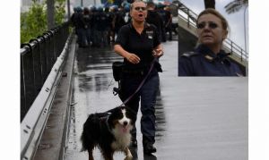 Genova, premio San Francesco: medaglie agli animali che prestarono servizio dopo il crollo del Ponte Morandi