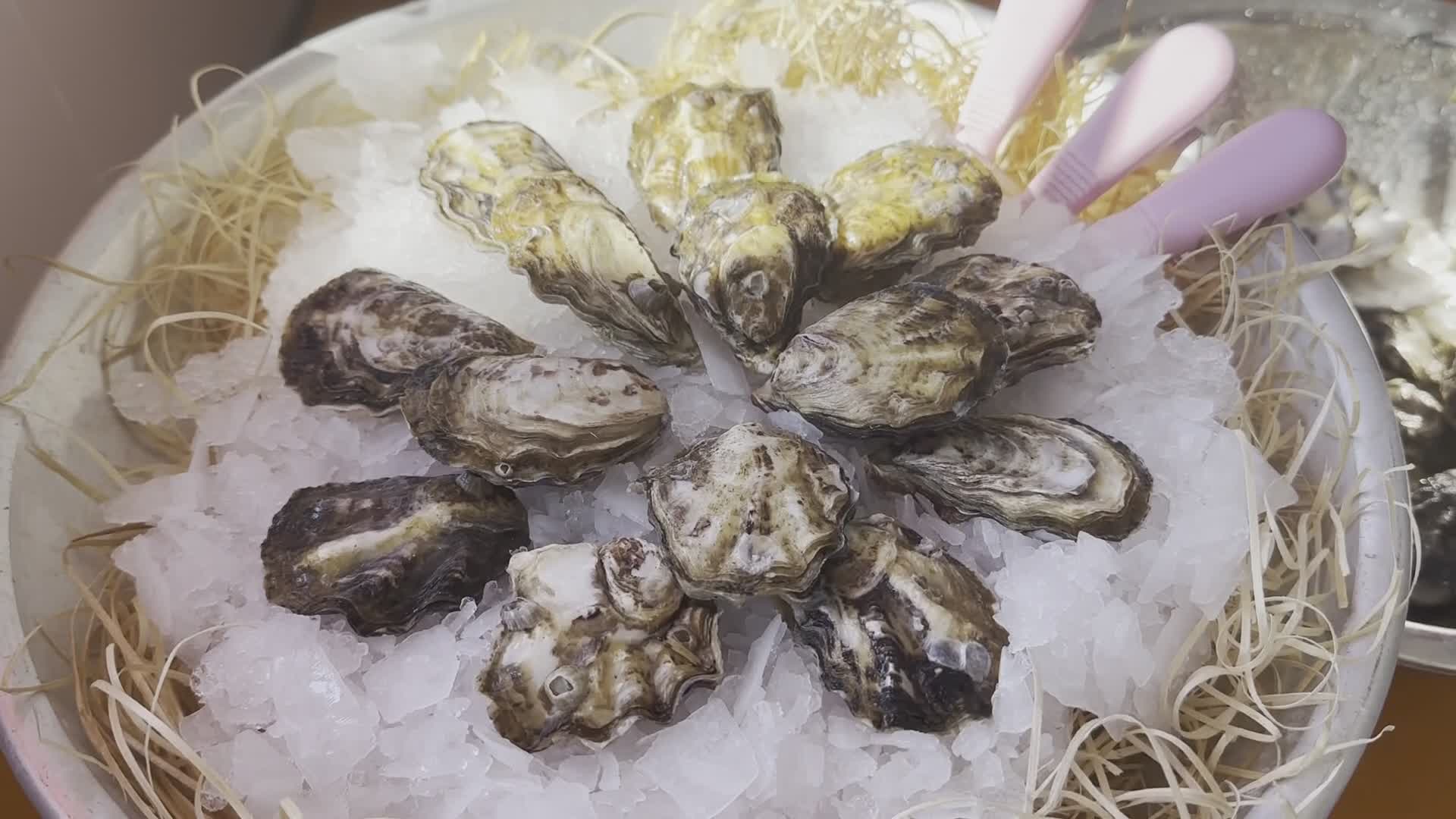 La Spezia, primo festival dedicato all'ostrica Made in Italy. Gli allevatori: "Vendite raddoppiate rispetto al 2022"