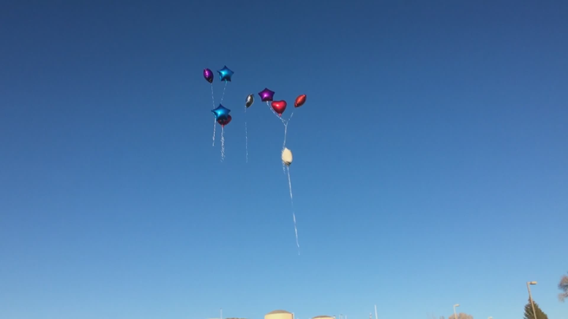Genova, stop ai palloncini in aria: passa la mozione in Consiglio Comunale