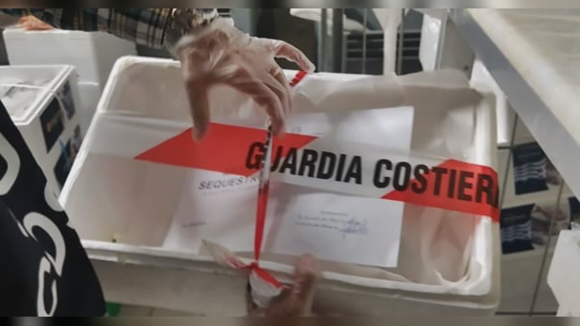 Da Savona ad Aosta: la guardia costiera trova pesce scaduto e senza etichette in tre centri commerciali