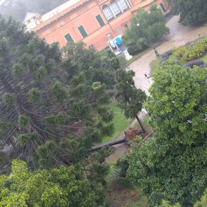 Maltempo, a Genova Pegli tromba d’aria sradica un albero e spazza via un gazebo. Chiuso il parco di Villa Doria 
