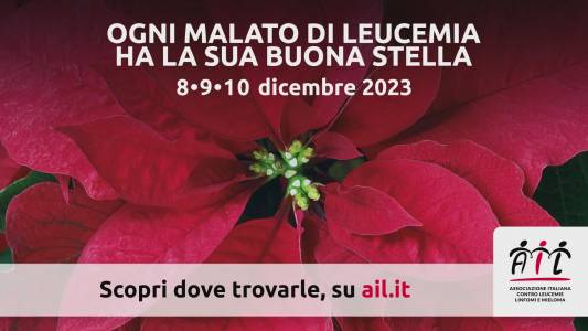 Liguria, dall'8 al 10 dicembre le stelle di Natale Ail colorano le piazze