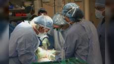 Trapianti: Liguria e Genova, numeri di interventi ed eccellenza scientifica da primato