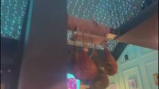 Genova, inaugurato il nuovo locale di Stefano Rosina e Jacopo Spallarossa, il Buongustaio: prodotti di qualità e divertimento