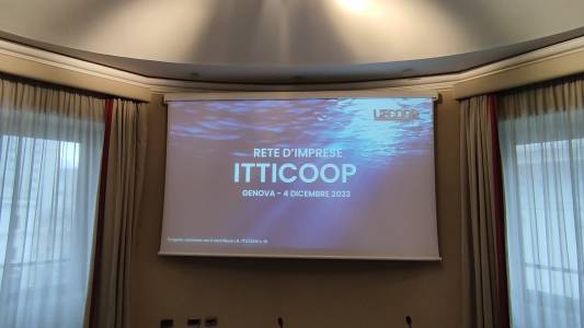 Ittiturismo, una nuova rete di pescatori e cooperative con 'IttiCoop'