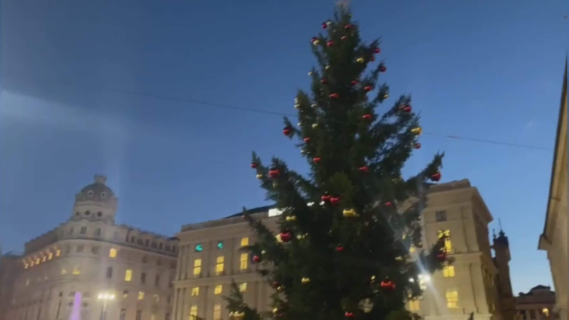 Genova, si accende il Natale: luci sull'albero e in tutta piazza De Ferrari
