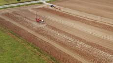 Regione, 207 milioni al settore agricolo con il Complemento di Sviluppo Rurale