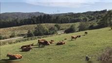 Liguria: comunità energetiche, finanziamenti per i piccoli centri