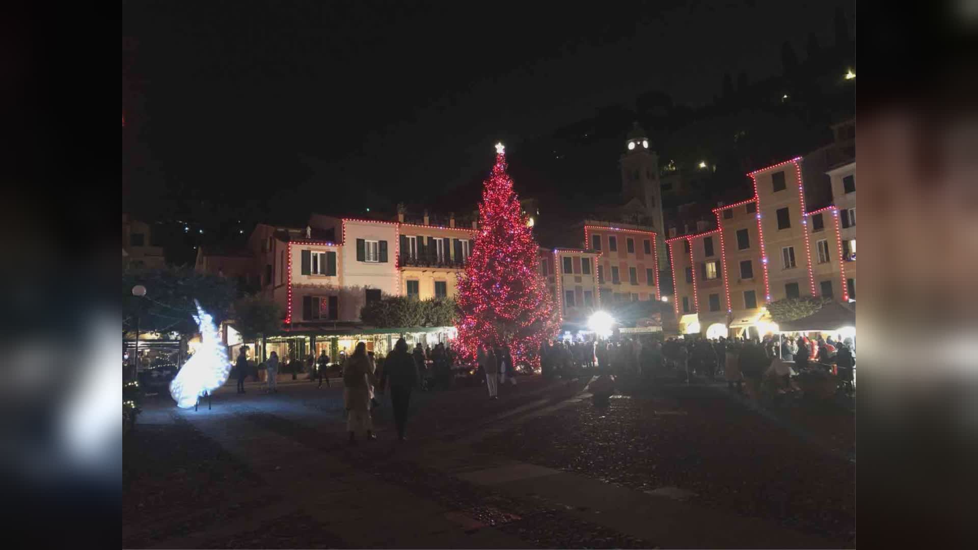 Portofino, si accende il Natale: illuminato l'albero della piazzetta (FOTOGALLERY)