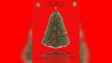 Genova: Municipio Media Valbisagno dedica albero di Natale alle donne vittime di violenza