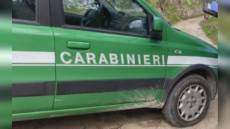 Rialto: cane di 8 mesi ferito gravemente da dardo di balestra, individuato l'arciere