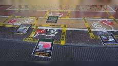 Sit-in animalista davanti alla Regione, Piana: "I manifestanti chiedano scusa al Nucleo di vigilanza faunistica"