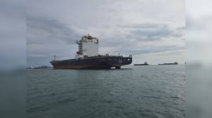 La portacointainer "Jolly Rosa" entra nella flotta del gruppo Messina: affiancherà la "Oro" e la "Argento" acquistate negli scorsi mesi