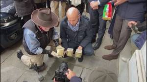 Genova, ecco le 13 nuove pietre d'inciampo per ricordare i deportati ebrei: sono opera dell'artista Gunter Demnig