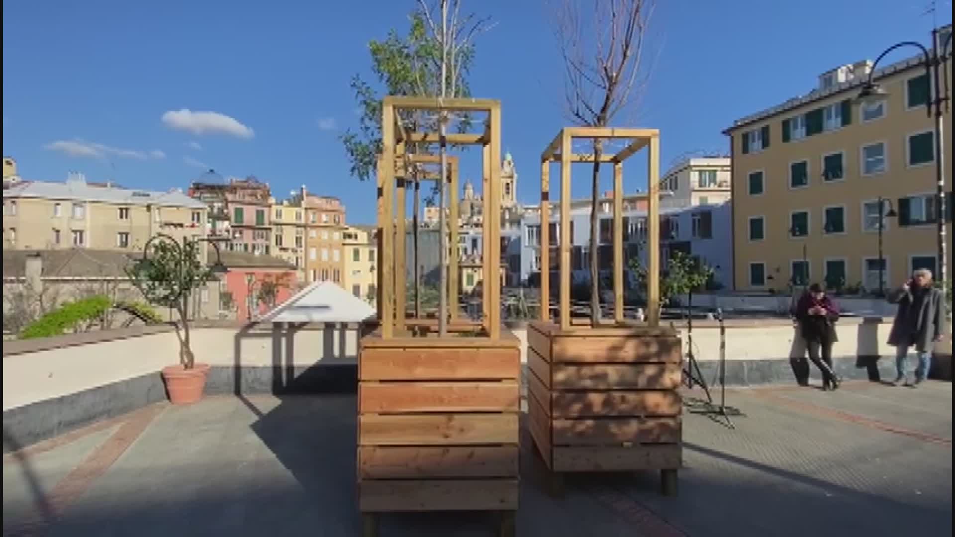 Genova sempre più verde: collocati 8 nuovi alberi ai Giardini Luzzati
