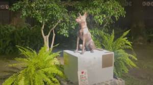 Rapallo, una statua per Ciccio: era il cane dell'ex parlamentare Scandroglio. Ecco perché lo ha voluto ricordare