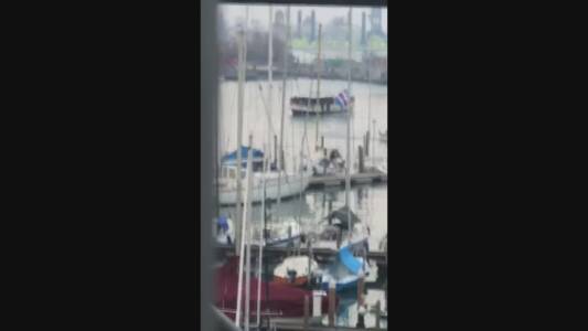 Sampdoria, l'arrivo dei tifosi in vaporetto allo stadio "Penzo" di Venezia