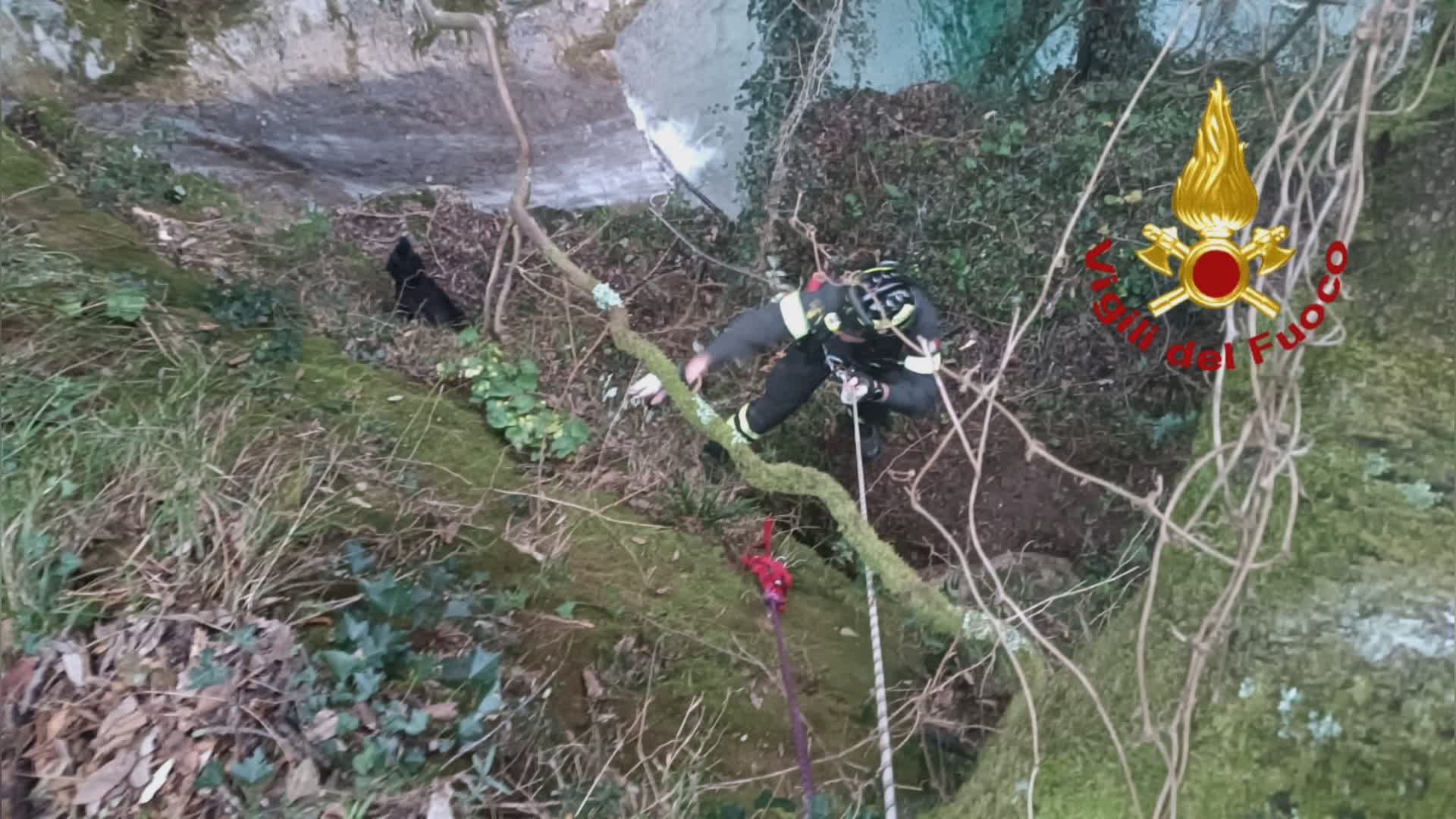 Genova, insegue la pallina e cade in un dirupo vicino ai laghetti di Nervi: cagnolina salvata dai vigili del fuoco