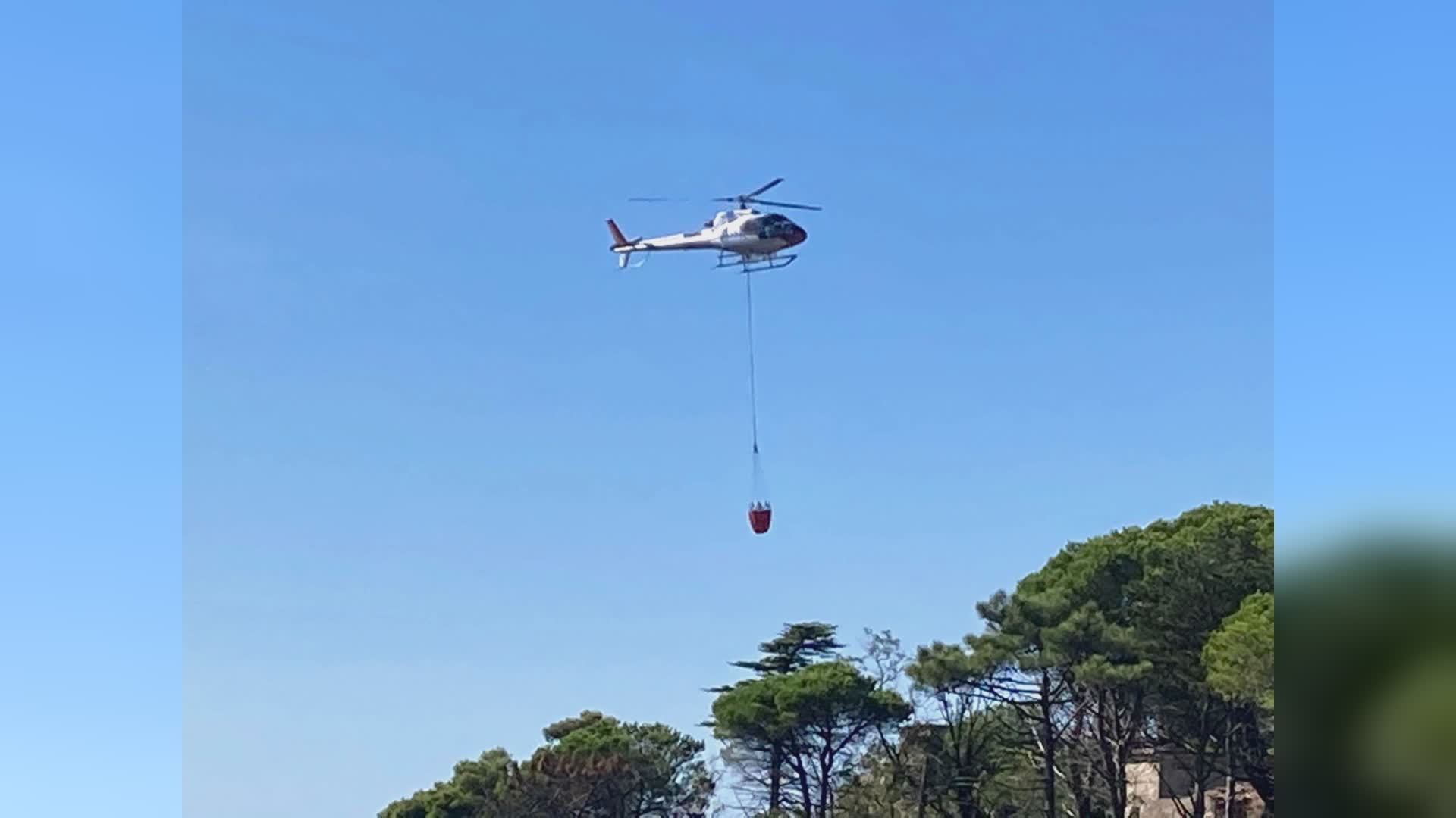 Ne, incendio nei boschi: in volo l'elicottero, richiesto un canadair
