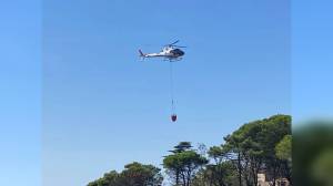 Ne, incendio nei boschi: in volo l'elicottero, richiesto un canadair