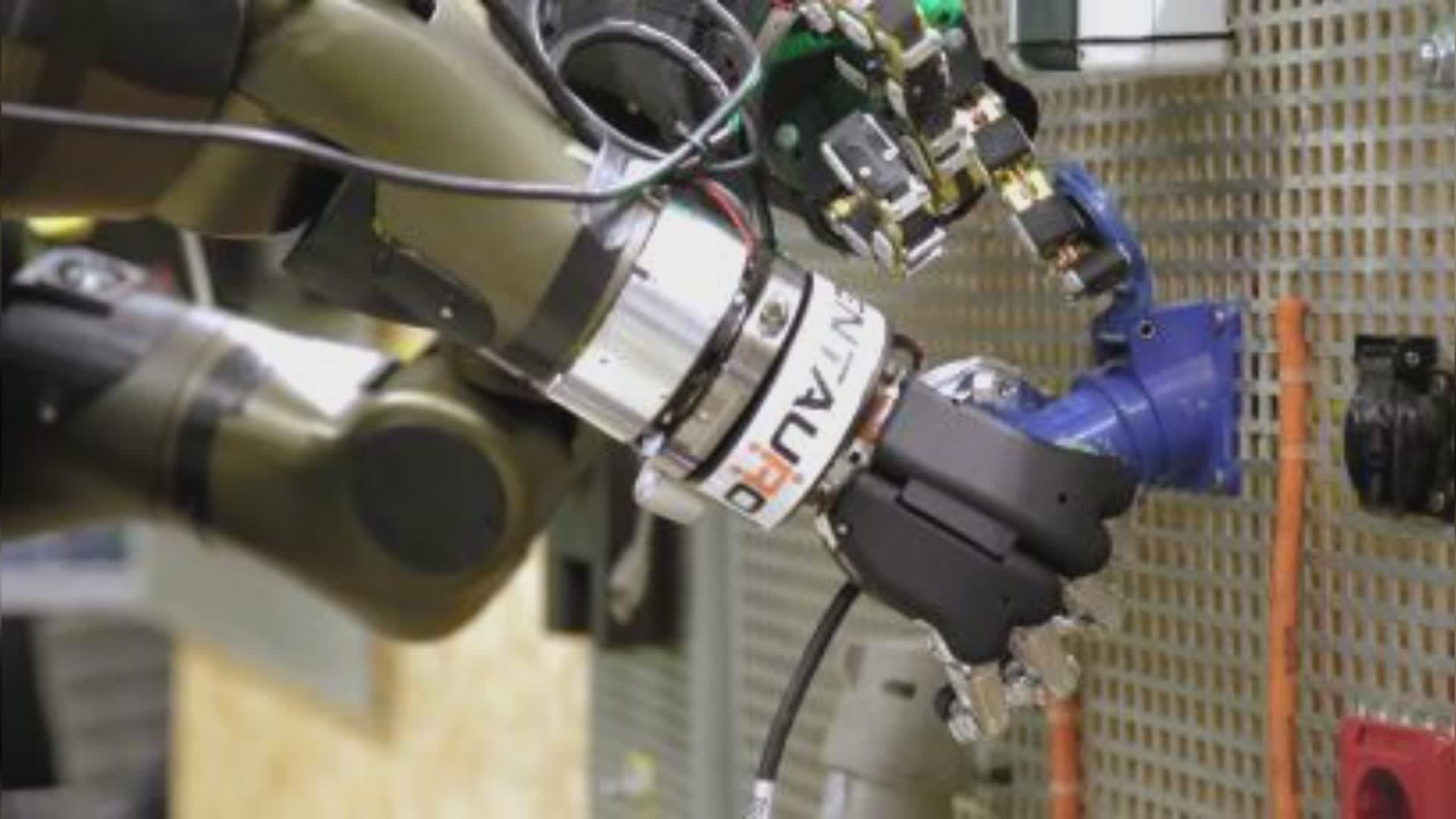 Genova: nasce all'IIT il "robot pianta" che si muove come un rampicante