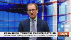 Caso Salis, il prof. Gialuz (UniGe) a Telenord: "Nell'Ungheria di Orban grave problema di rispetto dei diritti fondamentali"