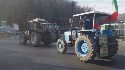 Busalla, trattori al casello dell'A7. Bellomo (Comitato "Custodi del territorio"): "Latte e carne sintetici e grano canadese, perché protestiamo"