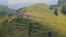 Genova:  urbanistica, Comune adotta linee guida del paesaggio agrario